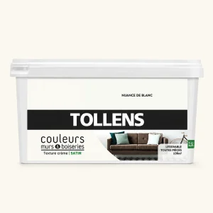 Peinture Tollens Broderie Blanche Satin