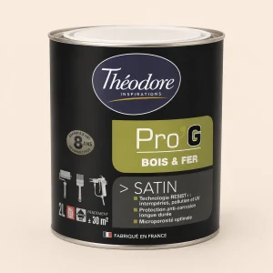 THÉODORE PRO'G PEINTURE BOIS & FER ARDOISE