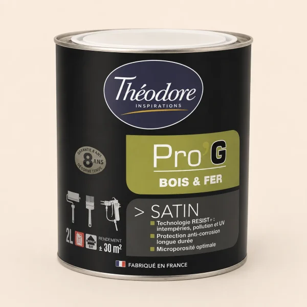 THÉODORE PRO'G PEINTURE BOIS & FER ARDOISE
